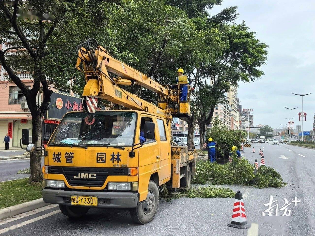 开云电竞增植绿化约2900株阳春提升城市绿化品质(图2)