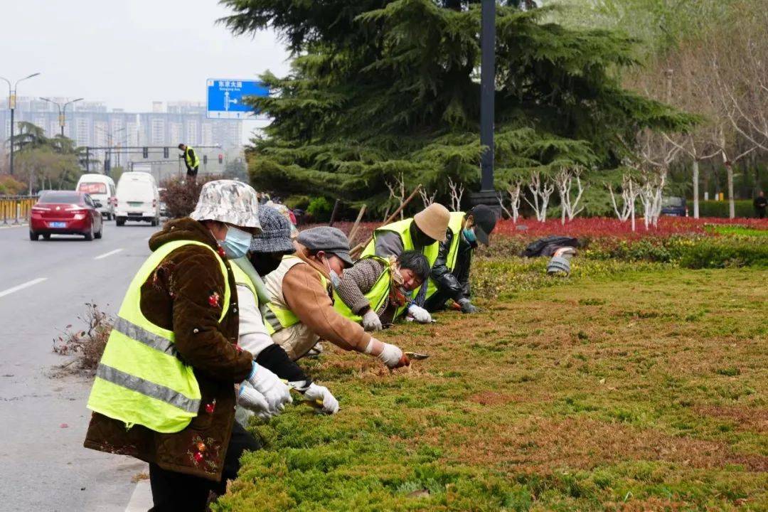 开云电竞示范区城管局园林处：“增绿添园”扮靓城市容颜(图2)