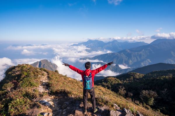 江苏花卉基地(全国最著名的花木基地)开云电竞(图1)