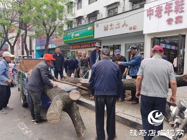 驻马店市园林绿化处开展死树枯枝集中清理行动开云电竞(图2)