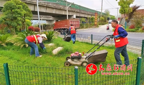 不负春日好时光 园林绿化养护忙 - 安康新闻网开云电竞(图1)