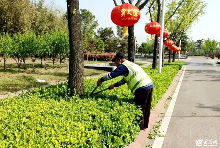 开云电竞临沭县加强园林绿化养护提升城市精细化管理工作水平(图3)