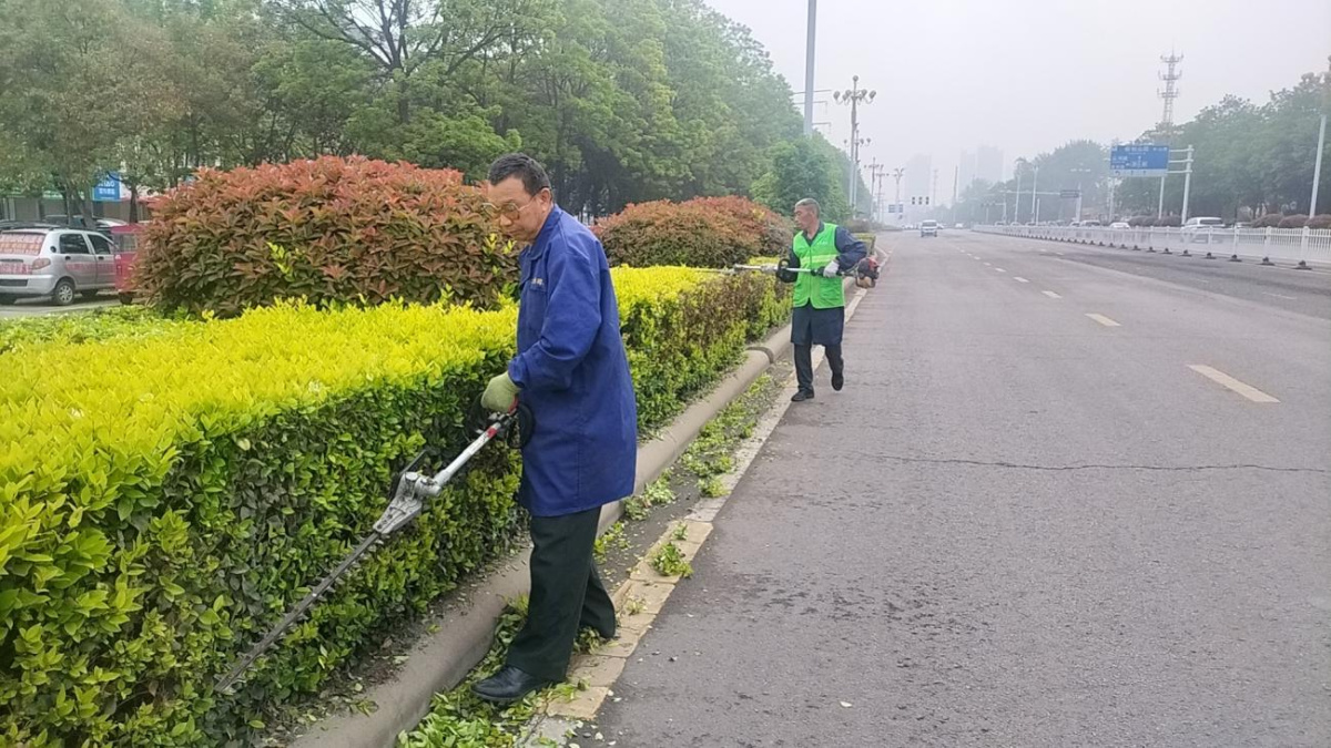 漯开云电竞河市城管局：抢抓春季黄金期扎实开展园林整地植树补绿！(图2)