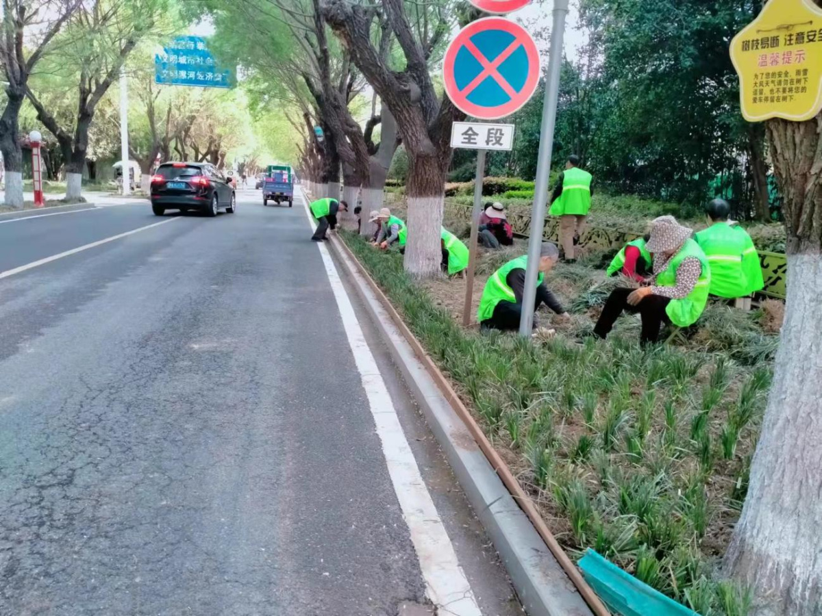 漯开云电竞河市城管局：抢抓春季黄金期扎实开展园林整地植树补绿！(图1)