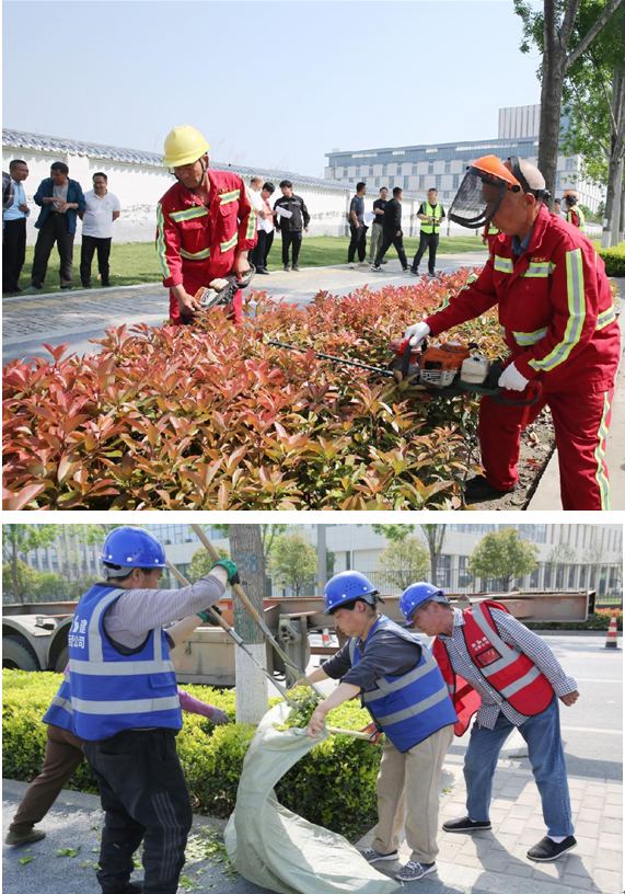 开云电竞西安浐灞国际港基层技能练兵-园林绿化领域绿篱修剪技能比武大赛成功举办(图3)