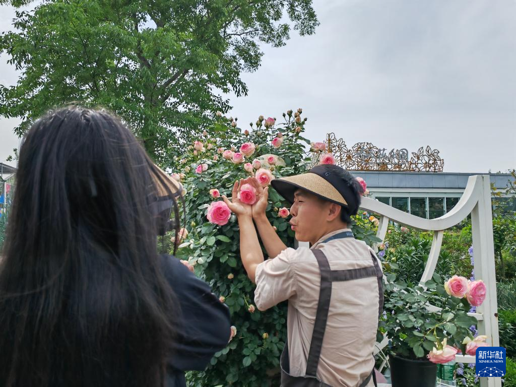 川花绽放催动花卉产业发展——探访成都世园会郫都分会场开云电竞(图1)