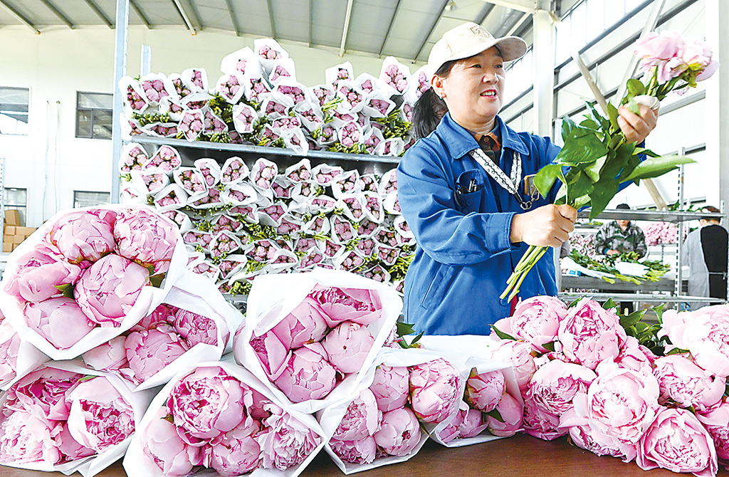 开云电竞“花卉经济”点亮美好生活(图1)