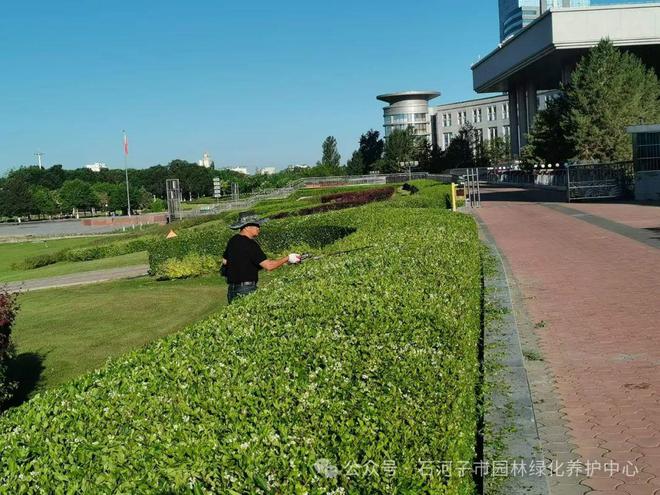 开云电竞园林绿化养护中心高标准、精细化、常态化做好夏季绿化养护工作(图1)