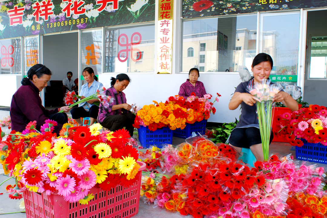 开云电竞清流花卉产业专场推介会在京举办(图2)