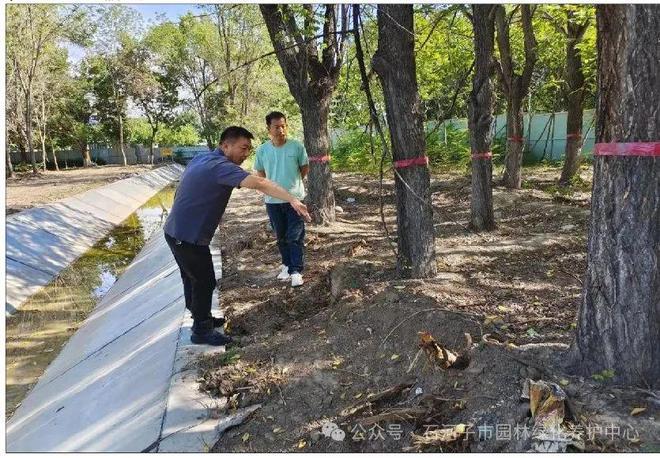 园林开云电竞绿化养护中心全力推进国家生态园林城市创建工作(图1)