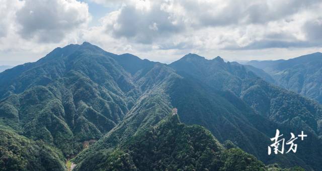 生态高颜值 扮靓“绿水青山”开云电竞(图1)