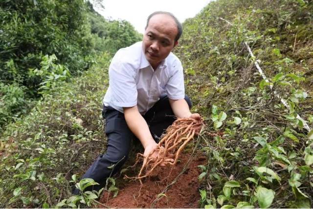 生态高颜值 扮靓“绿水青山”开云电竞(图2)