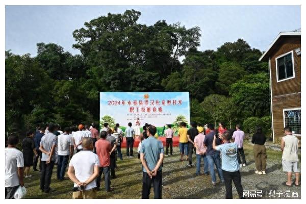 开云电竞园林能手大比武！泉州永春举办罗汉松造型技术职工技能竞赛(图1)