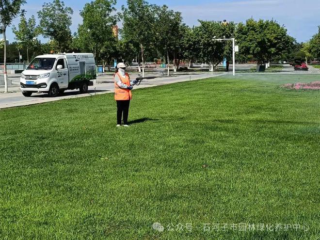 开云电竞城管局园林绿化养护中心积极应对高温天气 力保城市绿意盎然(图1)