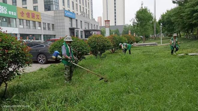 开云电竞泰安市园林绿化管理服务中心：雨后除草护绿为城市绿化“减负”(图2)