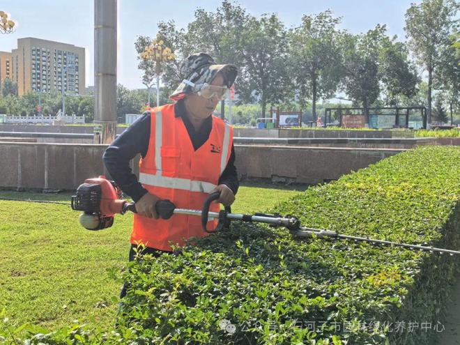 开云电竞城管局举办园林绿化技能竞赛 共促城市绿化工作高质量发展(图5)