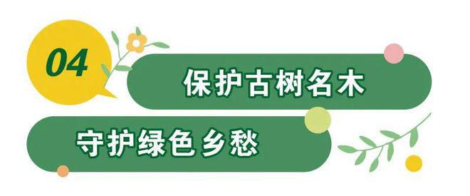 各有“靓”点！广东新增13开云电竞个园林绿化“样板”(图6)