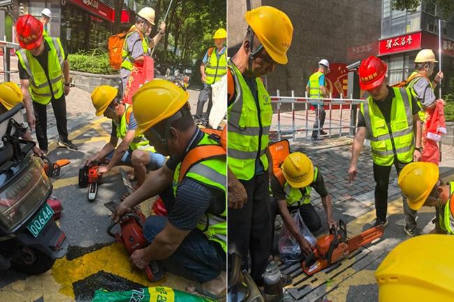 开云电竞福建住建驰援海南省园林绿化应急抢险队伍已出发(图1)