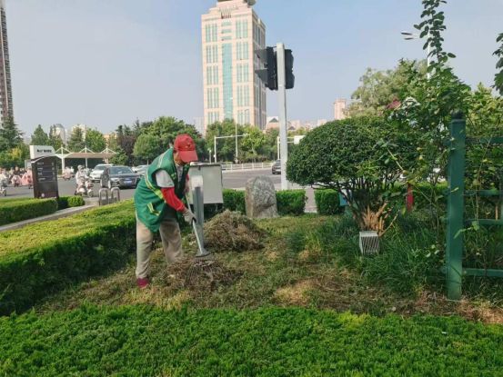 泰安市园林绿化管理服务中心打造精品示范段 着力提升精细开云电竞化管理水平(图2)