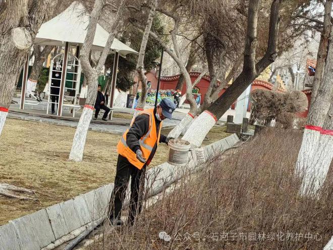 开云电竞为绿色“加油” 园林绿化养护中心开展绿地施肥复壮工作(图2)