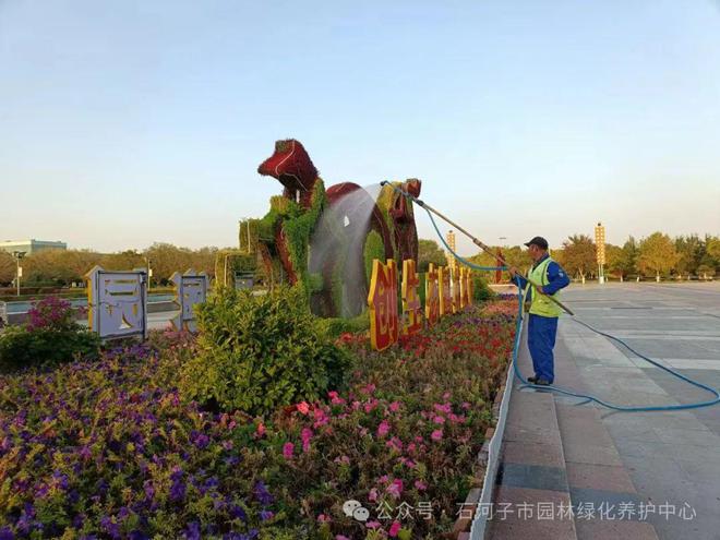 园林绿化养护中心扎实做好中秋节开云电竞期间绿化养护工作(图1)