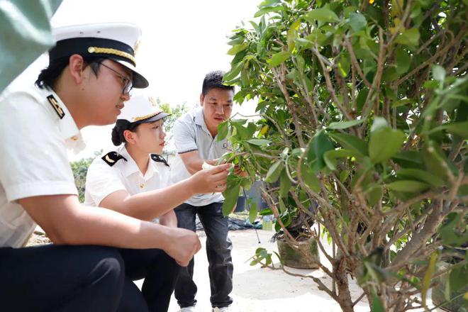 内地首批检验检疫证书全程无纸化开云电竞货物出口(图1)