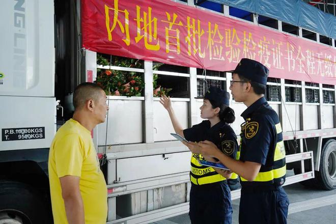 内地首批检验检疫证书全程无纸化开云电竞货物出口(图2)