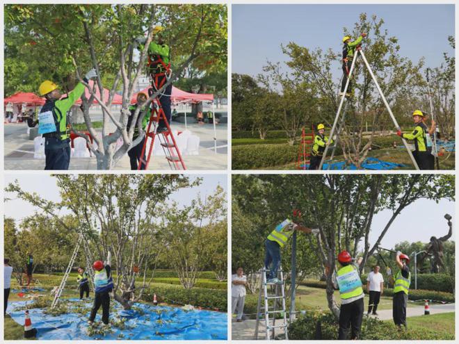 开云电竞临沂市第三届城市精细化管理园林绿化行业技能竞赛成功举办(图3)