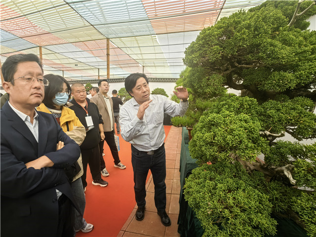 开云电竞以节会友、以苗聚商！第十九届泰山苗木花卉交易会开幕(图3)