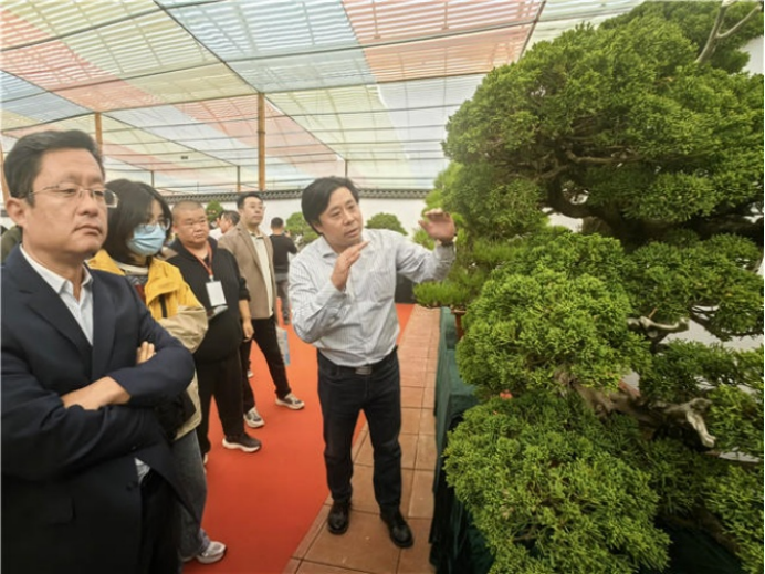 开云电竞第十九届泰山苗木花卉交易会开幕(图3)