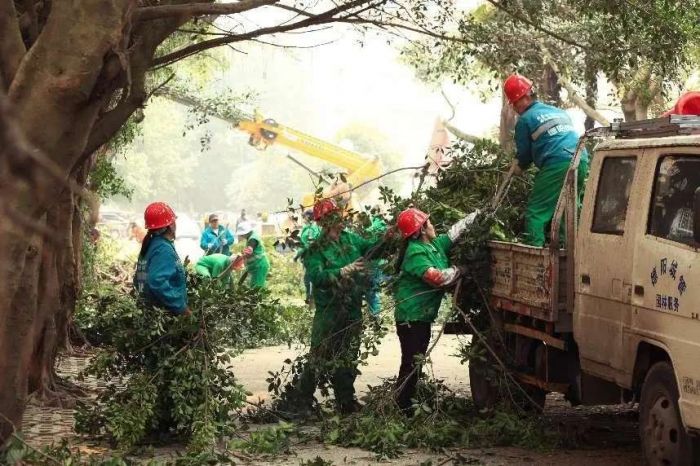 城市中植绿开云电竞 生活中添景色——德阳发布园林绿化亮眼“成绩单”(图5)